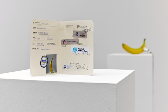 Banana Passport